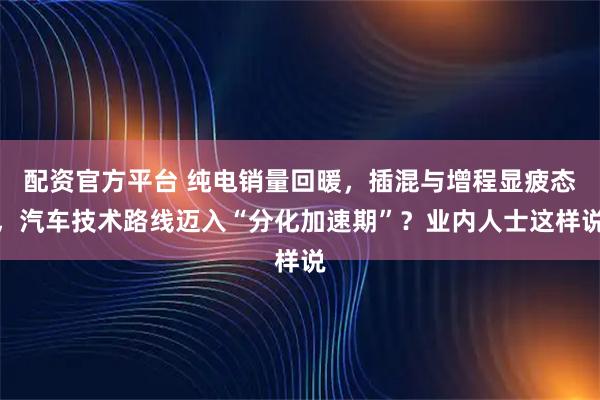 配资官方平台 纯电销量回暖，插混与增程显疲态，汽车技术路线迈入“分化加速期”？业内人士这样说